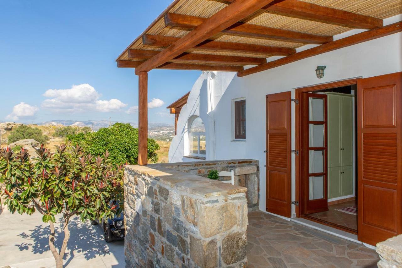 Thea Suites Naxos Айос-Прокопіос Екстер'єр фото